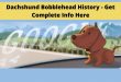 Dachshund Bobblehead History