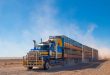 Truck driving: ways to improve safety on the road